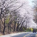 도구머리공원1-1 이미지