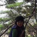 성은장 Daum카페