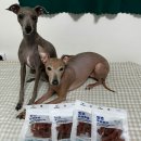 돌돌 | 편식러도 좋아하는 강아지 우설 간식 [레디펫고 맛츄 우설돌돌] 간식 후기