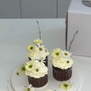 더치앤빈 미사역 그랑파사쥬 | [하남 미사] 멜츠케이크 :: 미사역 생화 케이크 내돈내산 후기 (그랑파사쥬 레터링 케이크)