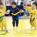 TIA 태권도 이미지