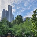 포레스트31 이미지