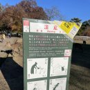 중독된냥 네이버블로그