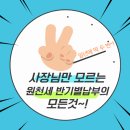 정민세무회계 이미지