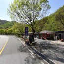 금화애견 이미지