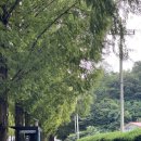 더스터닝4 이미지