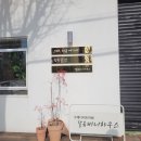 비니하니하우스 이미지