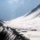 남양인형뽑기 이미지