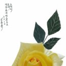 김목수