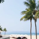 리젠시약국 이미지