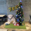 누메로755 이미지