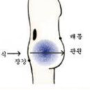 창조자연치유