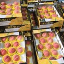 영일농장 이미지