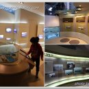 낙동강하구아미산전망대 이미지