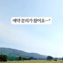 스파펜션링스