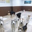 무크스페이스 이미지