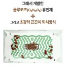 바퀴둥절 바퀴벌레 트랩 사용 후기｜집에서 직접 써본 바퀴벌레 퇴치 방법