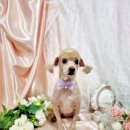 개인의 공간, 쉼 이미지