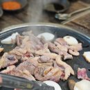 월척오리 | [예산 맛집] 예당저수지 오리고기가 맛있는 월척오리 후기