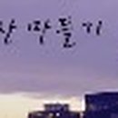 유승카센타 이미지