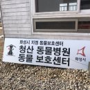 청산동물병원 이미지