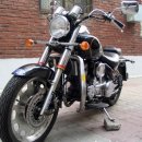 데이스타 이미지