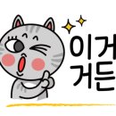 떡떡쿵덕쿵 네이버블로그