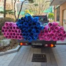 (주)에스티에스 이미지