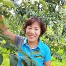 미대농장 이미지