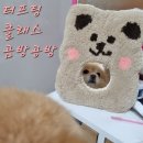 곰방공방 이미지