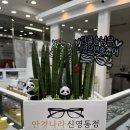 안경나라(반월점) 이미지