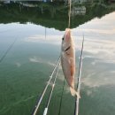 과림 낚시터 이미지