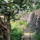 함덕환승정류장(함덕해수욕장) (함덕리 3구방면) | 제주 함덕 조용한 카페 보라지붕 당근케이크 맛있어