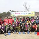 편백나무스토리