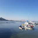 해삼농장 이미지