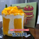 다이소대신 | 성심당 망고시루 보냉백 대신 다이소 쿨러백 사용 후기(케이크 상자 실측 cm 사이즈 포함)