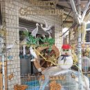 아지농장 이미지