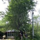 팔공사슴농장 이미지