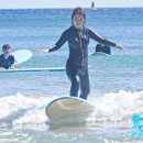 코코넛제주 이미지