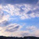 호수의오후 이미지