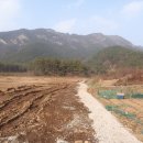 진원면사무소 이미지