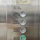 천사꽃펜션