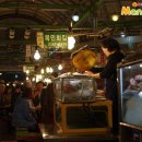 광장24호 이미지