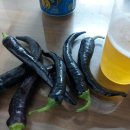 초곡민박