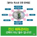 해독킹 이미지