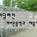 채움미담