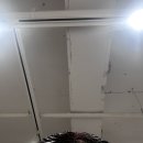온야드 연무장점 | 온야드 연무장점 후기｜플럼 브라운 염색+레이어드컷 리얼후기