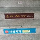 스타사 이미지