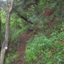 신광면/비학산 이미지