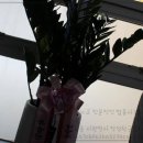 법무법인 법승, 친절하고 전문적인 법률사무소였어요!